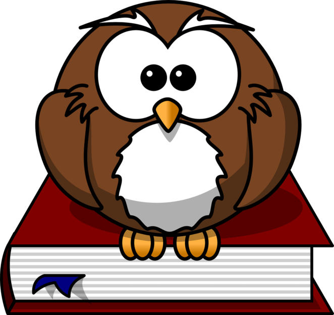 Bookworm Bookworm