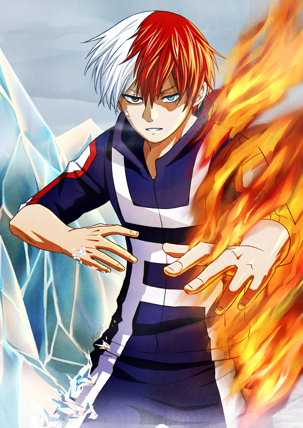 boku no hero shouto todoroki