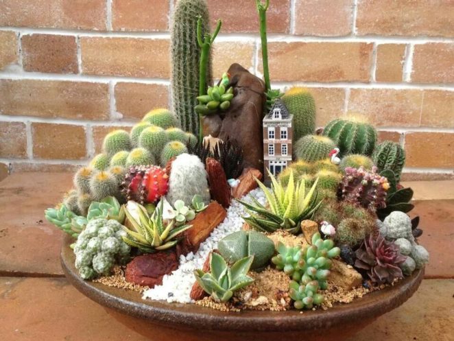 Small Cactus Garden Is A Genius Way Of Organizing Your Cacti - Virily
