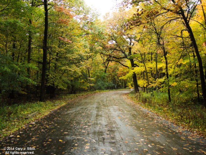 Entrance to the River Trail Nature Center, Northbrook, Illinois – Virily