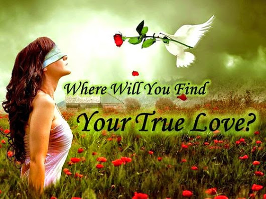 download i want to find true love