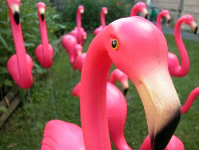 Plastic Pink Flamingos Virily Plastic Pink Flamingos
