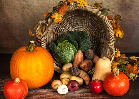Harvest Time