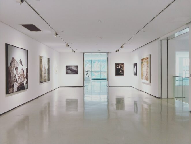 What are the differences between Art Galleries and Museums?